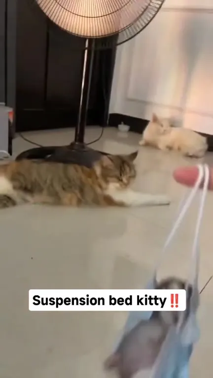 Suspension Bed Kitty