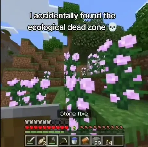 Minecraft Ecological Dead Zone