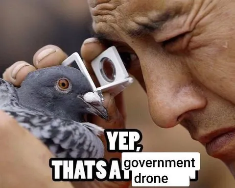 Government Drone Pigeon