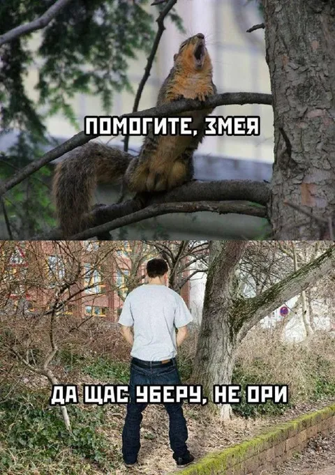 Помогите, змея