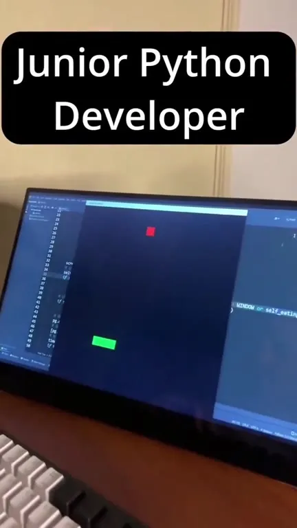 Junior vs Senior Python Developer