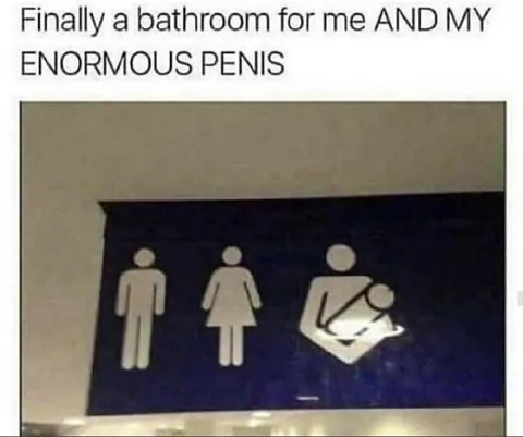 Bathroom for an Enormous Penis