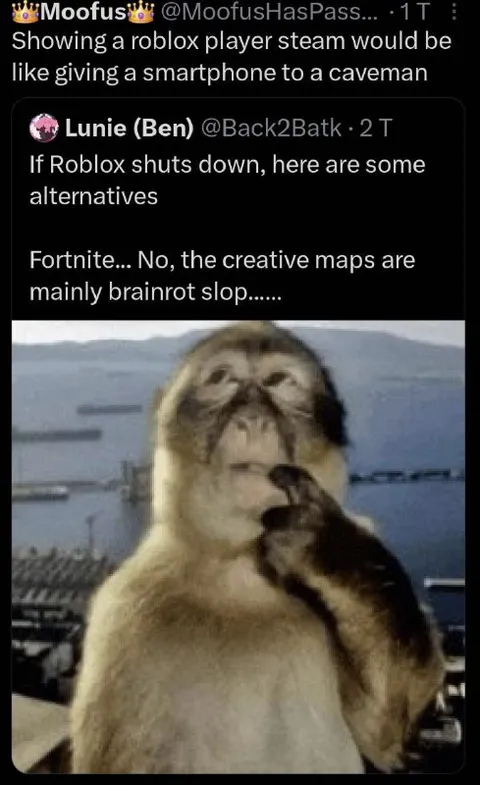 Roblox Alternatives Are Brainrot