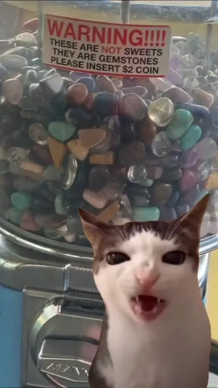 Cat Reacts to Gemstone Candy