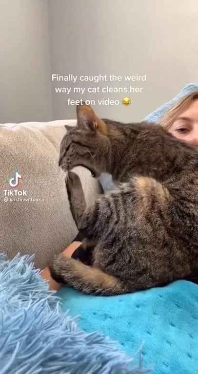 Cat Cleans Her Feet