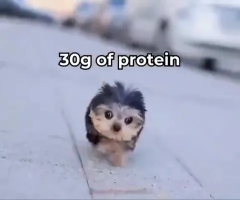 Coffee and 30g of Protein
