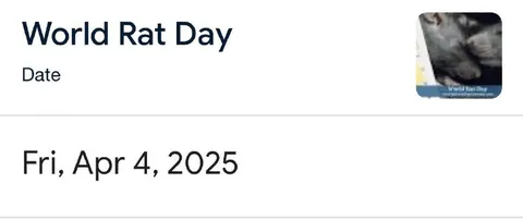 World Rat Day 2025