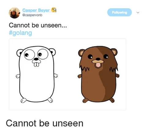 Cannot Be Unseen Go Gopher