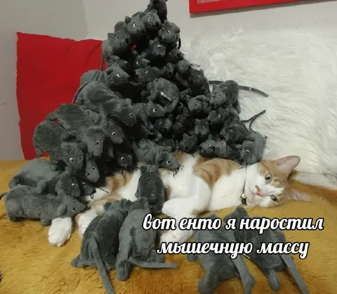 Кот под мышиной массой