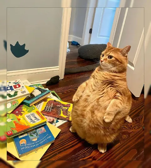 Cat Stomps Through Storybooks