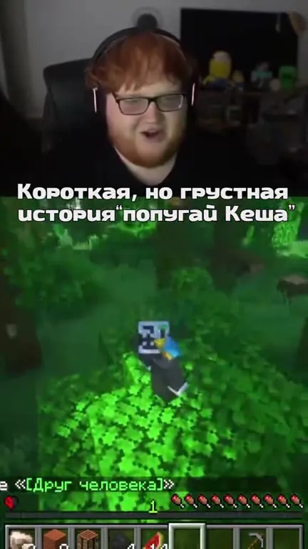 Грустная история попугая Кеши