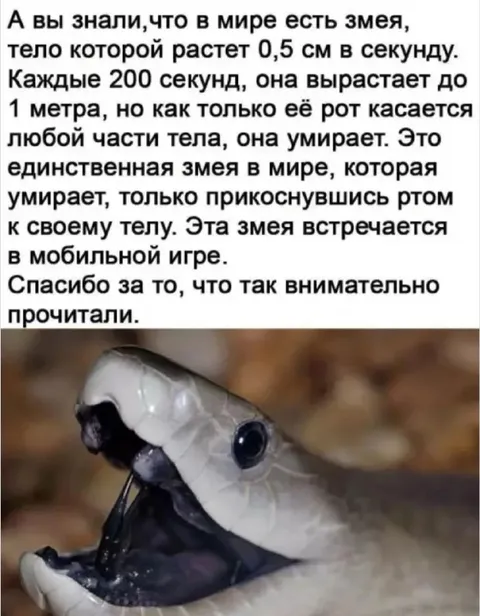Змея, которая умирает от укуса