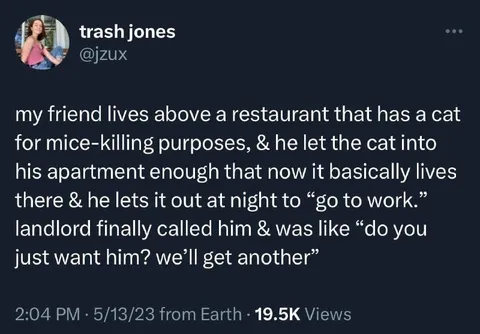 Cat Goes to Work