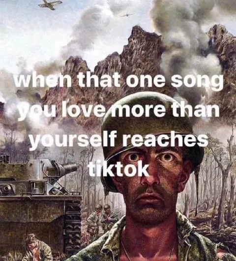 When Your Favorite Song Reaches TikTok