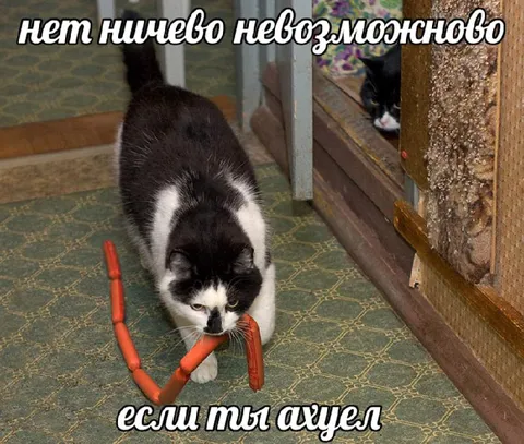 Если ты офигел