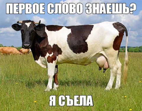 Первое слово знаешь? Я съела