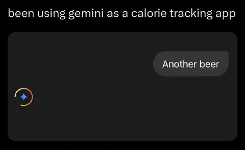 Gemini Calorie Tracker Says Another Beer