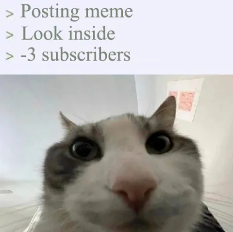 Posting Meme Loses Subscribers