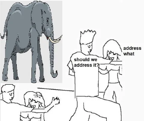 Should We Address the Elephant?