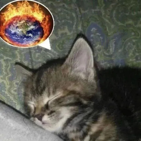 Кот спит, пока горит Земля