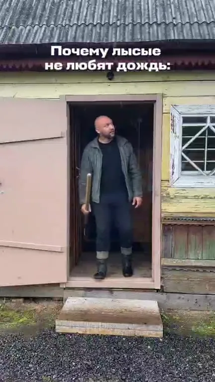Лысый не любит дождь