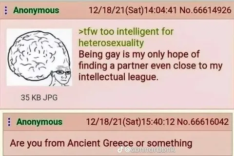 Too Intelligent for Heterosexuality