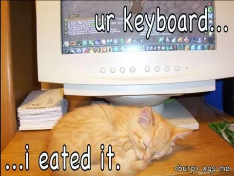 Cat Ate Your Keyboard