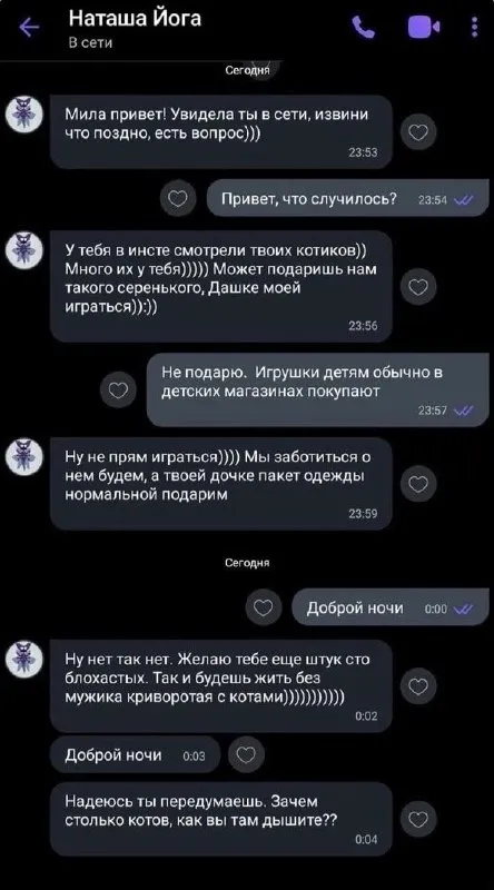 Подарить серого котика