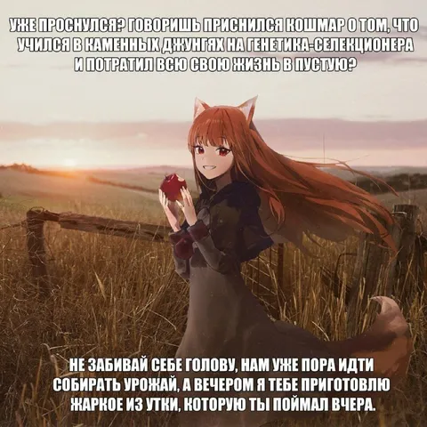 Кошмар о потраченной жизни