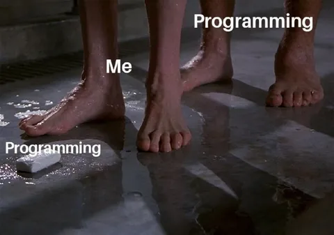 Programming Is Everywhere