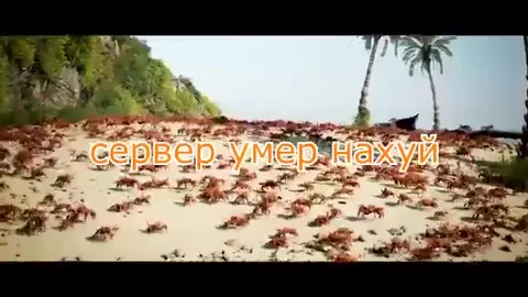 Сервер умер — крабы пошли