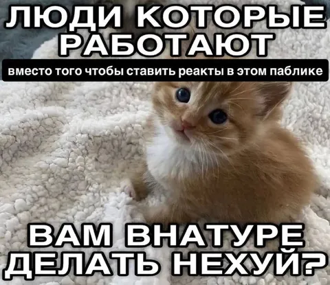 Люди которые работают из дома