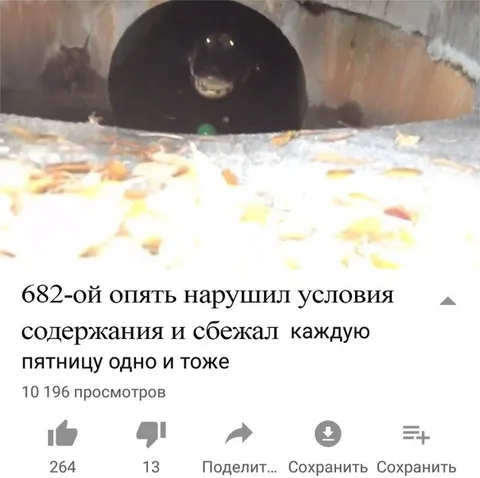 682-ой снова сбежал