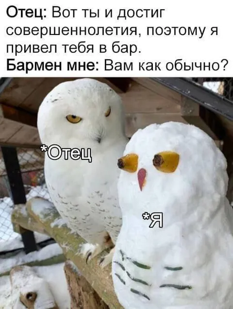 Отец привёл сына в бар