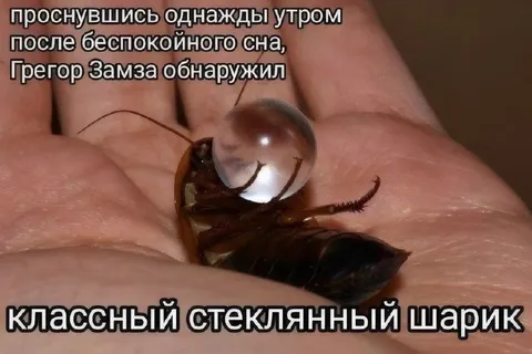 Грегор Замза и стеклянный шарик