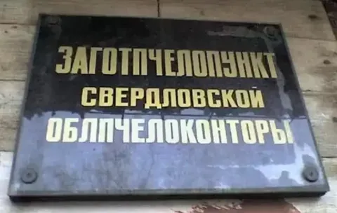 Залог от челопунки