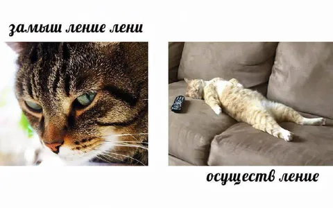 Замышление и осуществление лени