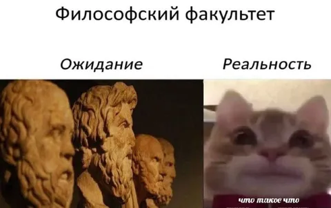 Философский факультет: ожидание и реальность