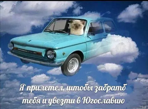 Кот прилетел в Югославию