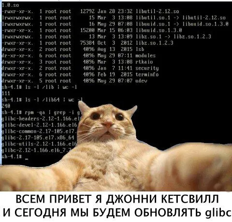 Джонни Кетсвилл обновляет glibc