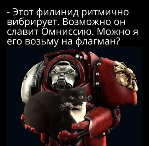 Филинид на флагмане