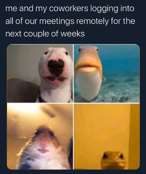 Coworkers Logging Into Meetings