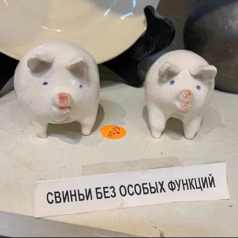 Свиньи без особых функций