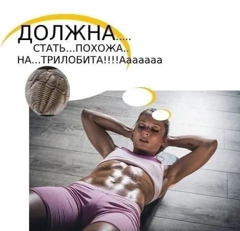 Женщина похожа на трилобита