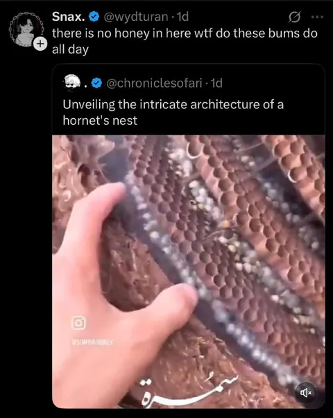 Hornet Nest Architecture