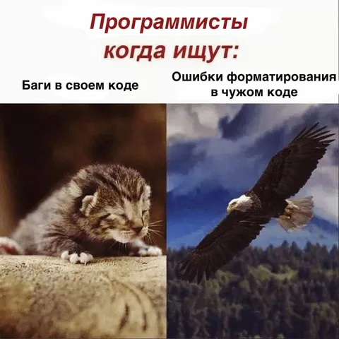 Программисты ищут ошибки