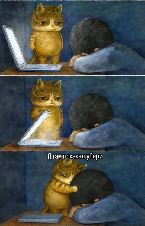 Кот покакал и просит убрать
