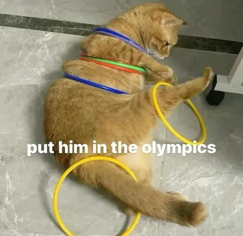 Cat Trains for the Olympics