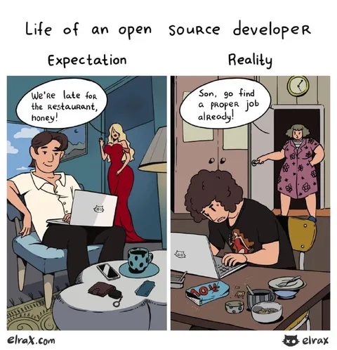 Life of an Open Source Developer