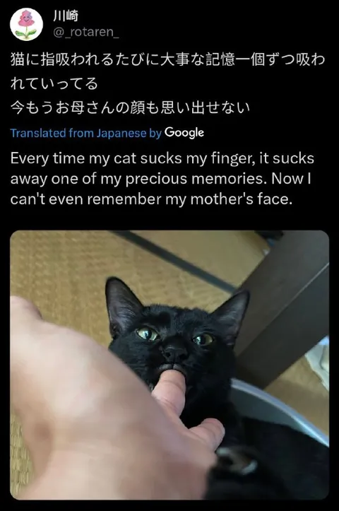 猫が記憶を吸い取る